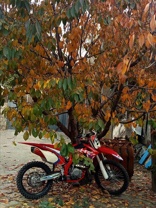 Xunguzun 250cc 172мотор пяти ступка