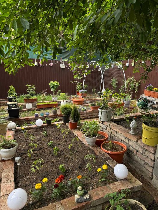 Casă în curs de construcție singură în curte