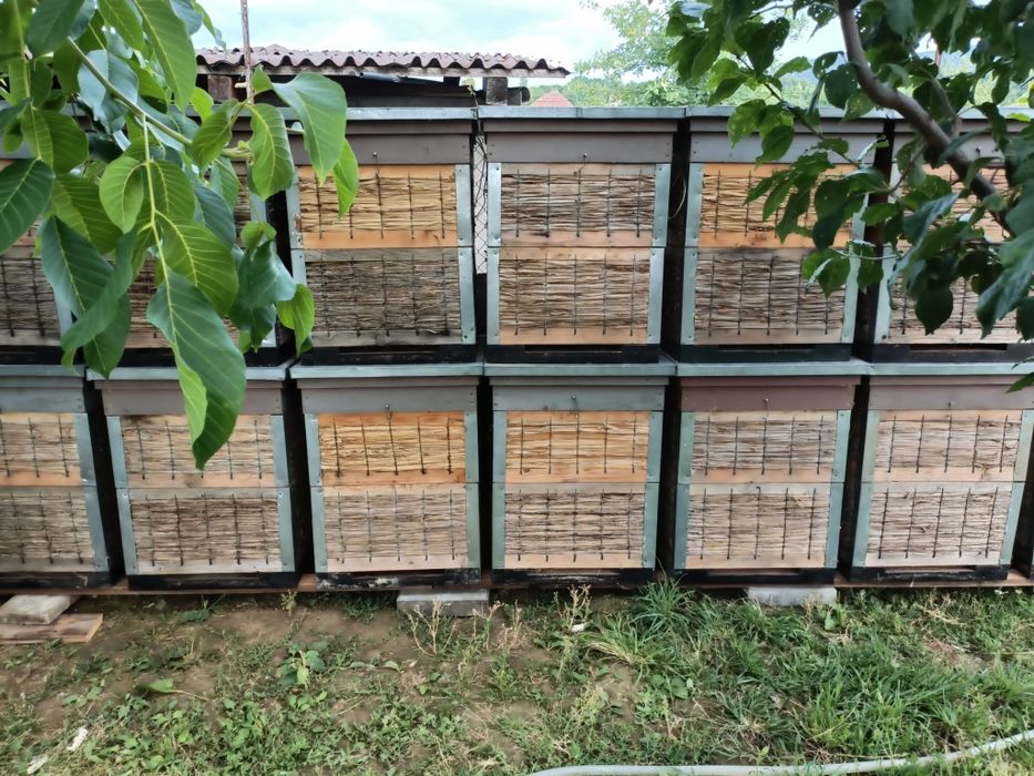 Lăzi apicole pe 12 rame