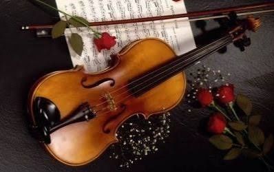 Ofer lecti de vioara copii adulti