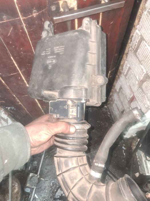 Эбу продам от 14 ки