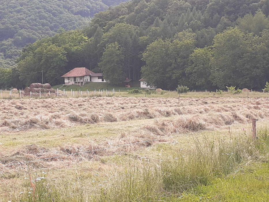 teren cabana gradina Orlat / Ocna Sibiului 15 km Sibiu, Mărginimea Sibiulu