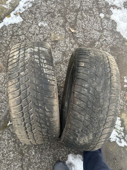 Резина всесезонная (две шт)