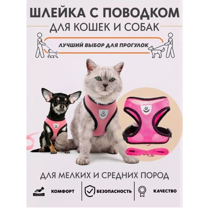 Шлейка для кошек новая