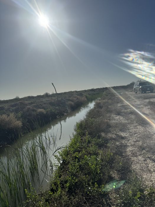 Земельный участок 17 га