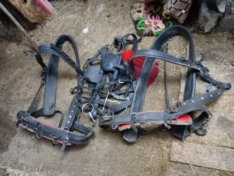 De vânzare o pereche de hamuri  complete  plus aturi de 2 caii