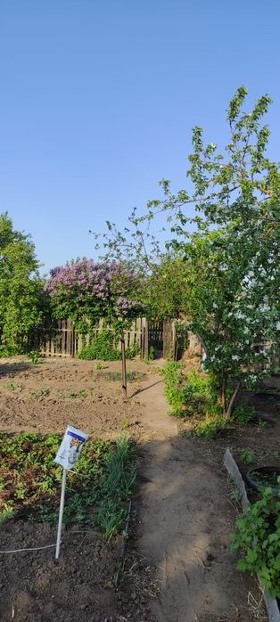 Продам дачу в садоводстве Нефтяник