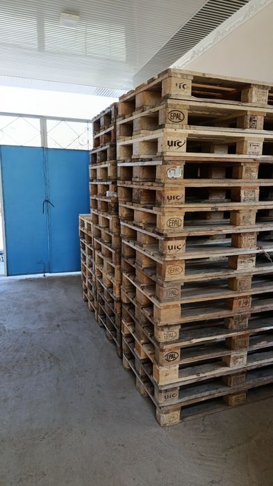 Evro bor 2-3 sort