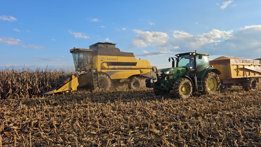 Vând porumb ,recoltă 2025, 0.85 lei/kg