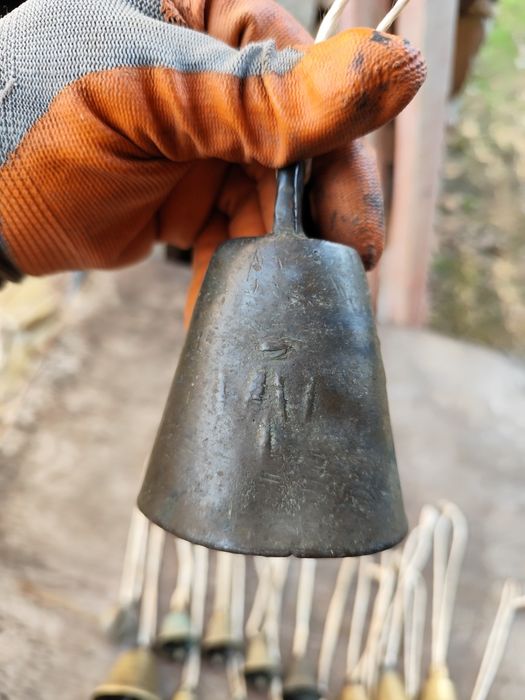 Камбанки и звънец