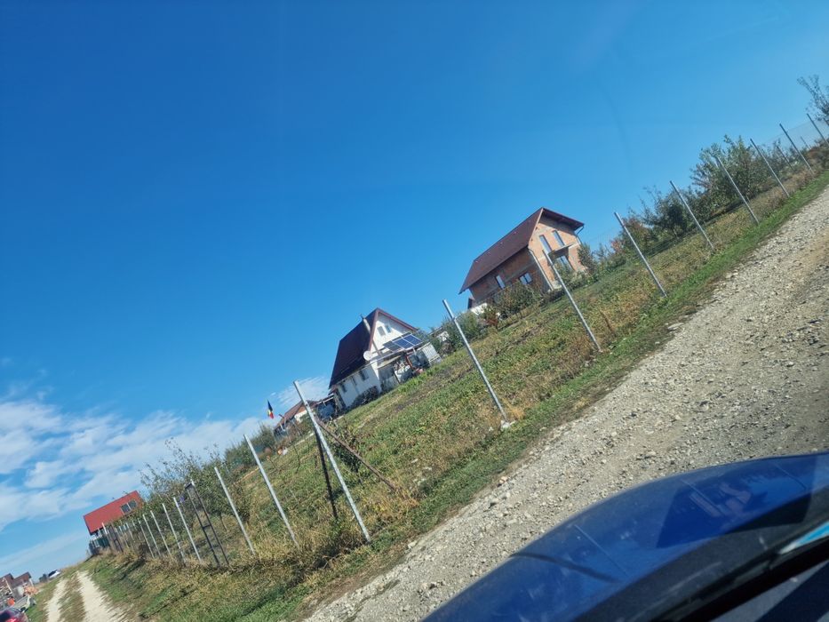 Teren sesul Sibiului . Sura mare .