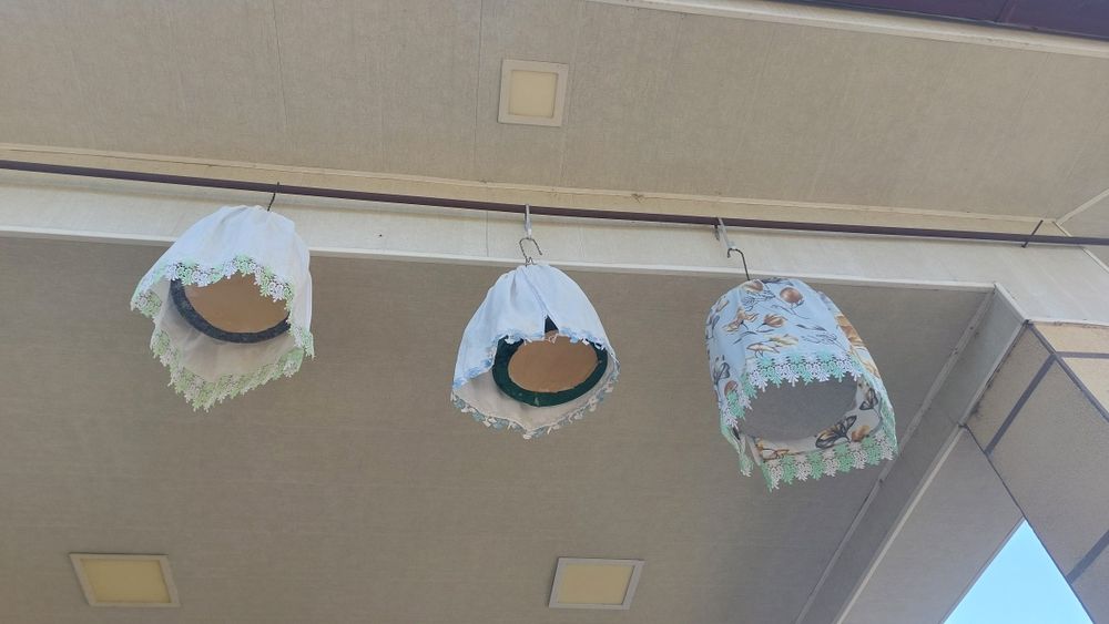 Бедана Сидирға, Илдам