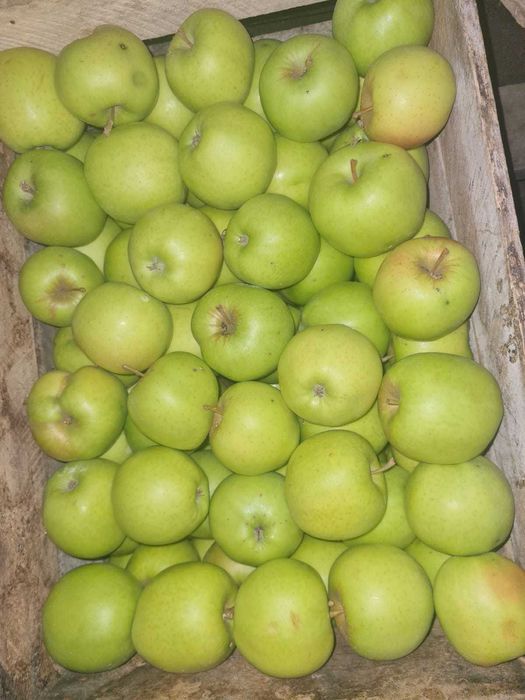 Mere proaspete de vânzare