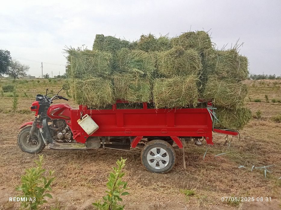Hamkor motsakil sotiladi narxi 10 mln boʻladigan shu