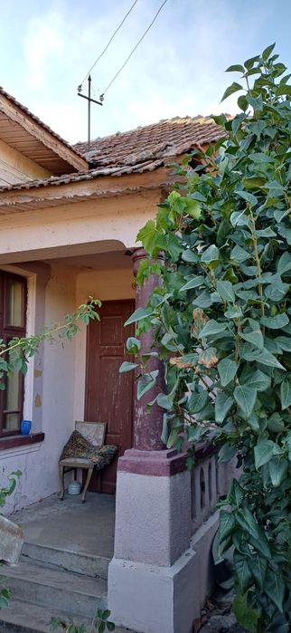 Vand casa la Terpezita