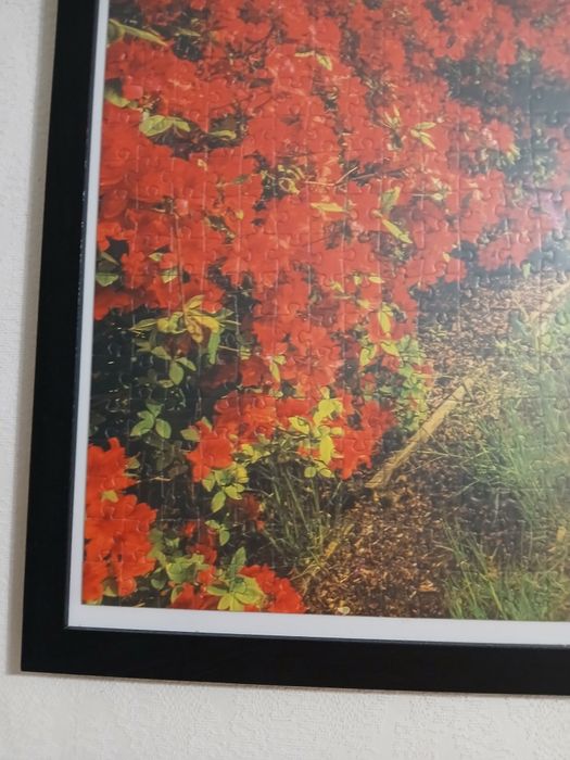 Картина пъзел 50/70