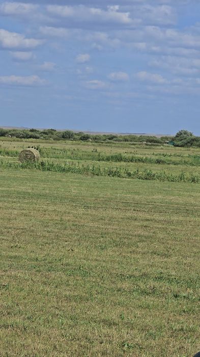Продаётся Фазенда КХ