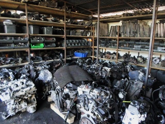 Ключевые зоны и методы диагностики