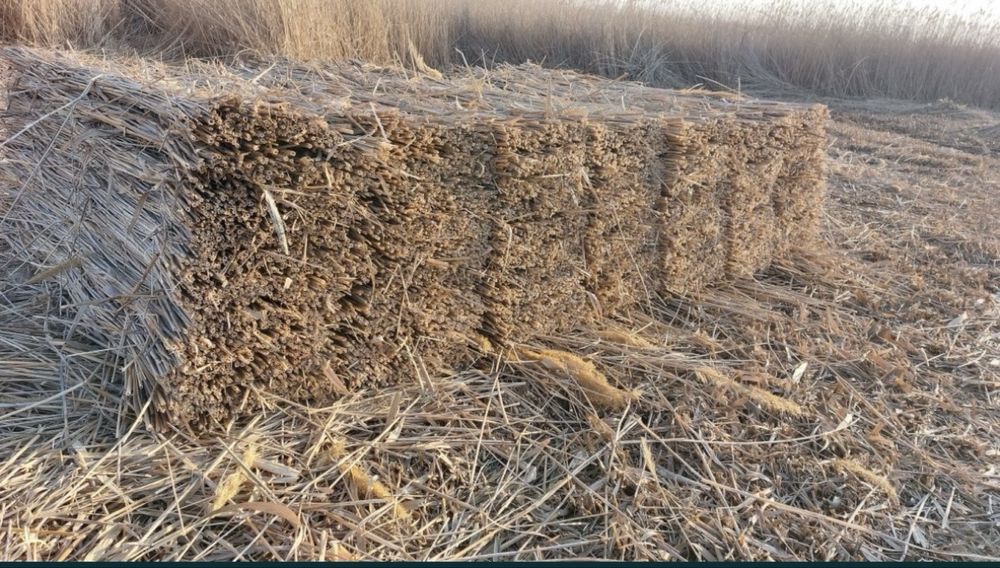 Камыс камыш маты