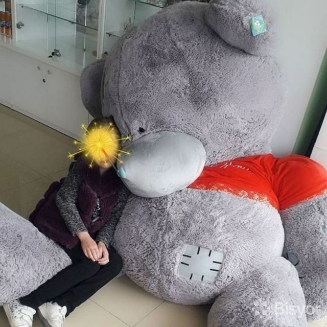 Teddy o‘yinchog‘i eng kattasi