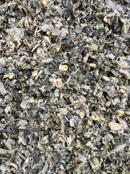 Vând siloz de porumb