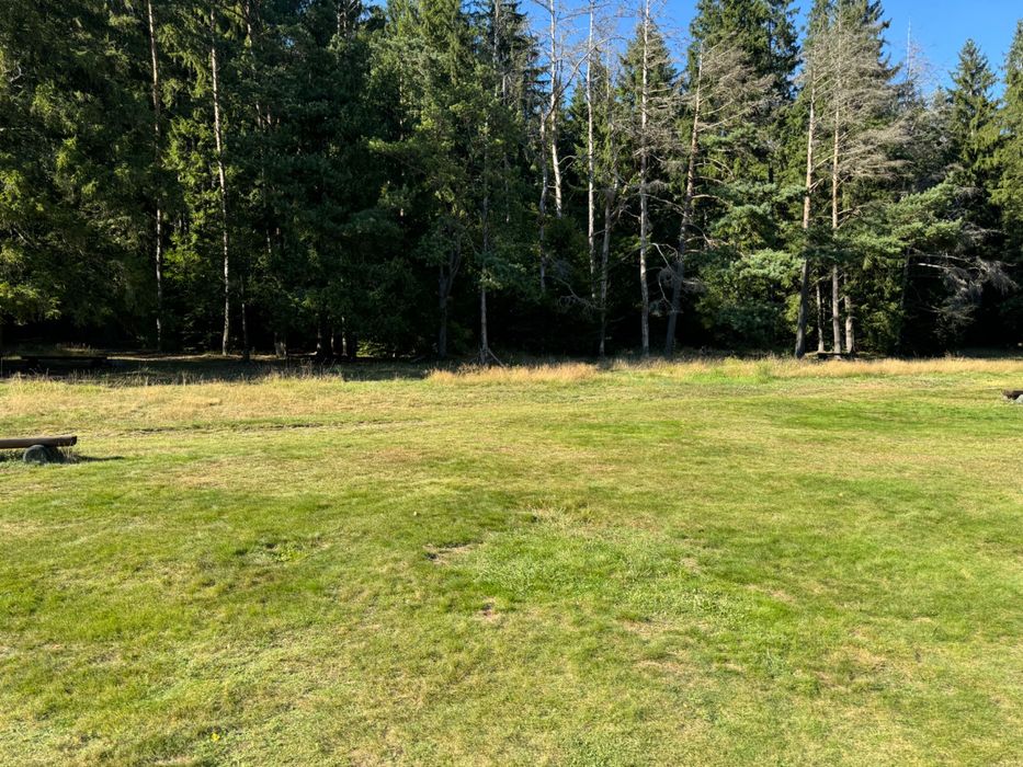 Teren extravilan 25000mp Dascalu langa A0 (karema fruct)