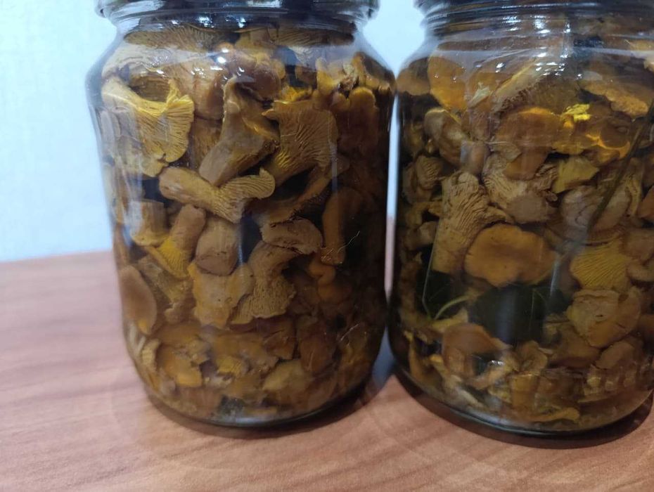 Продам грибы маринованные (Лисички)