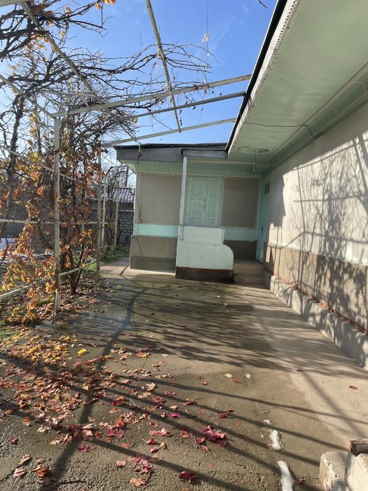 Xovli sotamiz 9 sotix