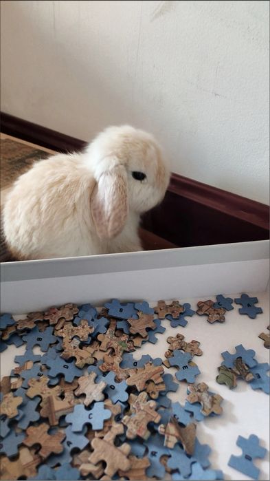 Mas’uliyatni o‘rgatadigan eng yumshoq yo‘l