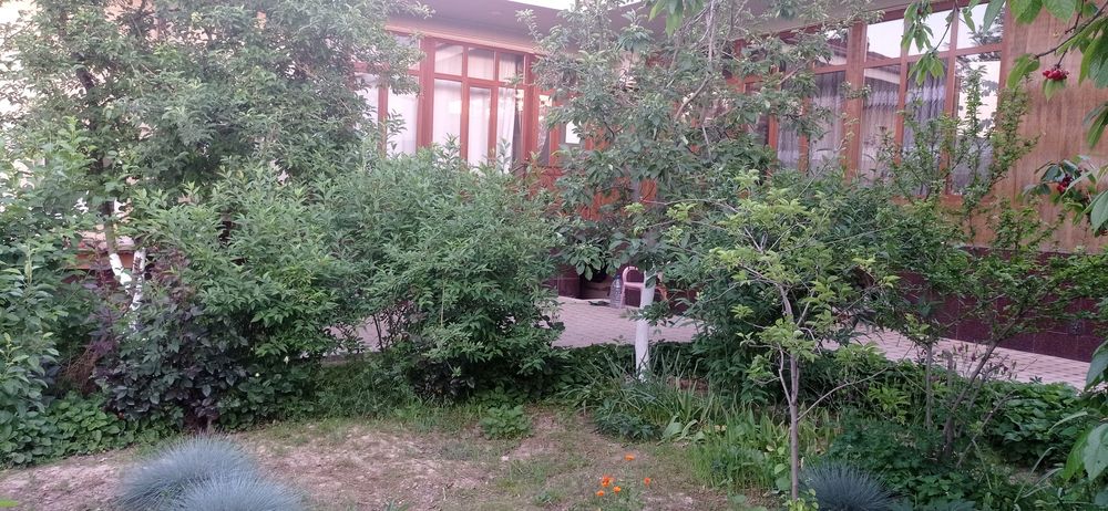 Участка Юнусобод Бободехкон махалла