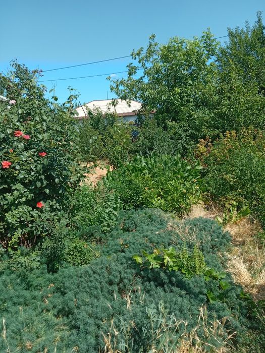 Продажа дома частного