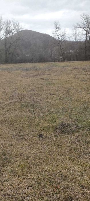 Vand Teren - Pucioasa - 2500m