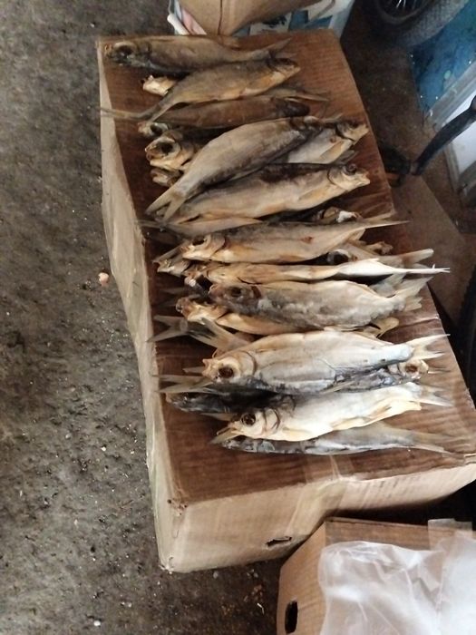 Рыбец майлы кепкен сатылады