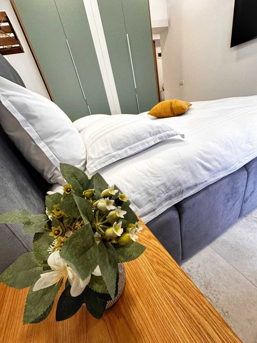 Apartament cu Gradina de inchiriat Brazda  loc parc electric bloc nou