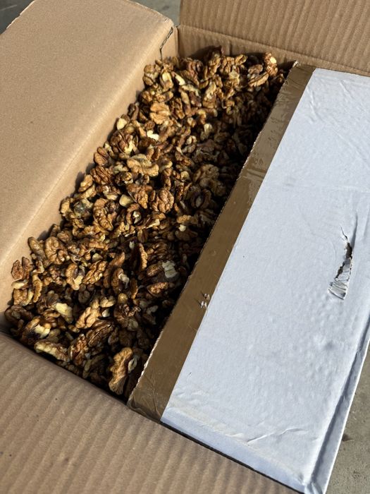 Miez de Nuca Maro, cafeniu, Pasha & Walnuts