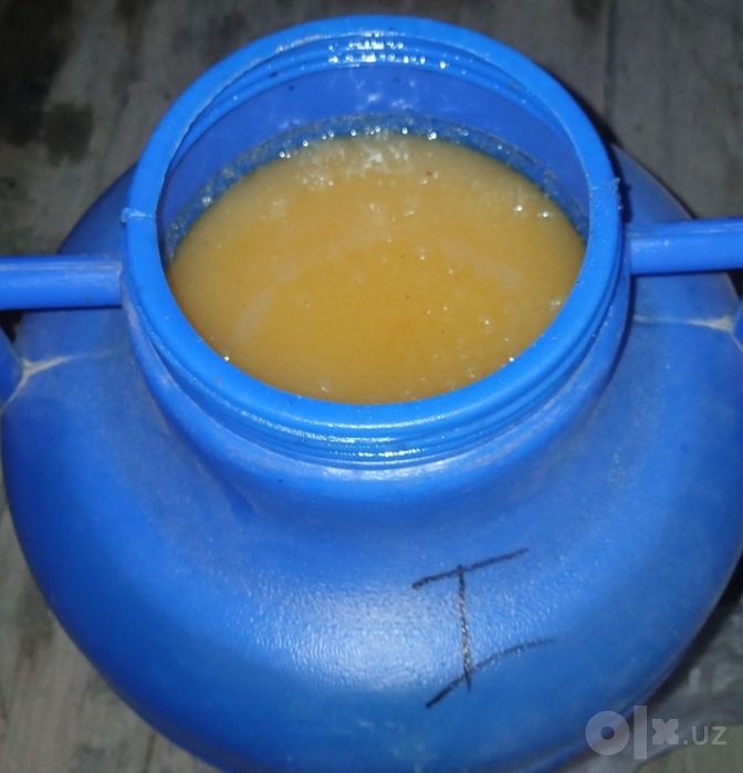 TOZA ASAL optomga