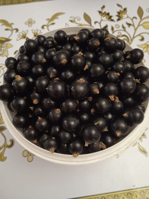 Смородина чёрная и красная