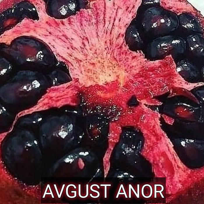 Karlik anor kòchati