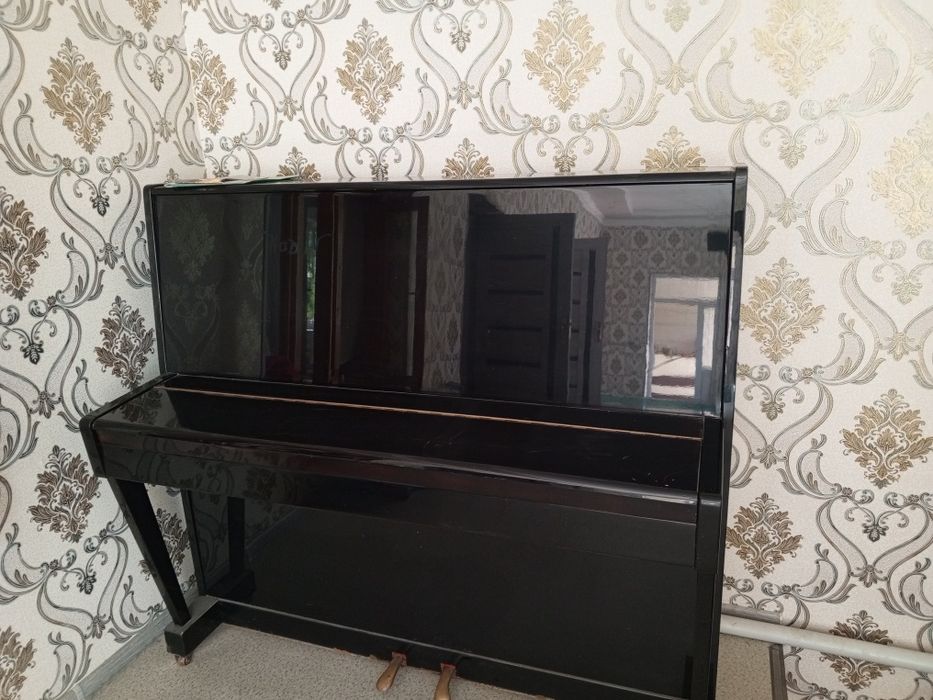 Pionina belarus qora