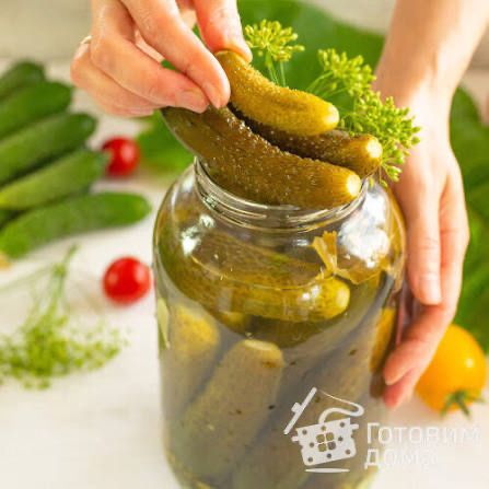 Огурцы соленные , огонек все домашние !