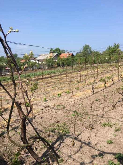 Парцел във вилна зона с панорамна гледка