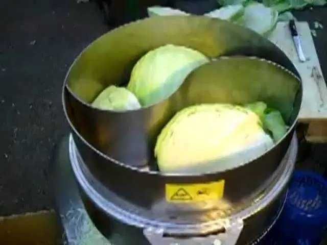 Tocator razatoare profesionala pentru VARZA inox cu motor