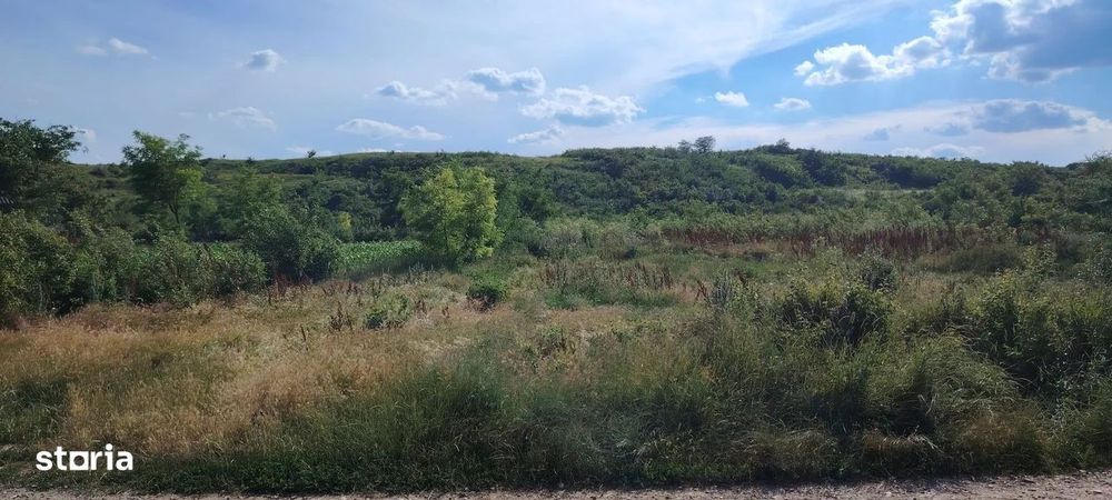 Teren intravilan de vânzare – 5.000 mp, Com. Belcești (sat Rusi)