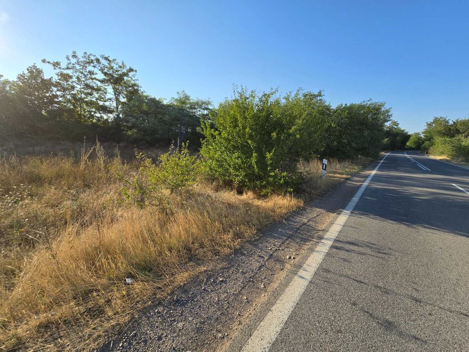 Продава се Парцел в Асеновград - 3880 кв.м за 19 €/кв.м - Снимка #3