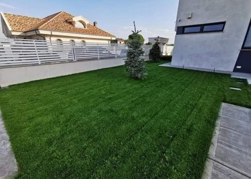 Vindem plante ornamentale