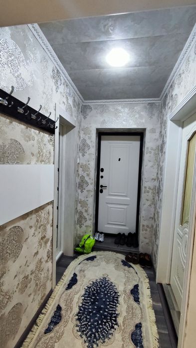 3x компания квартира