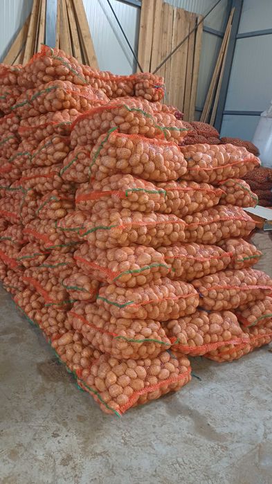 Vand cartofi de consum