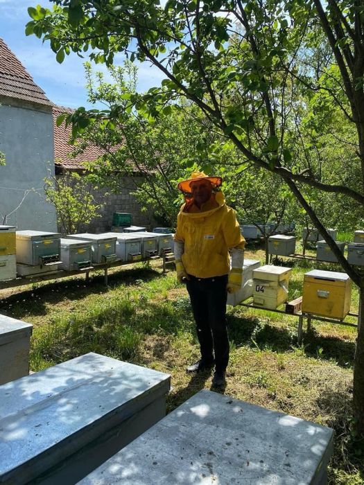 Miere de albine-direct de la producator