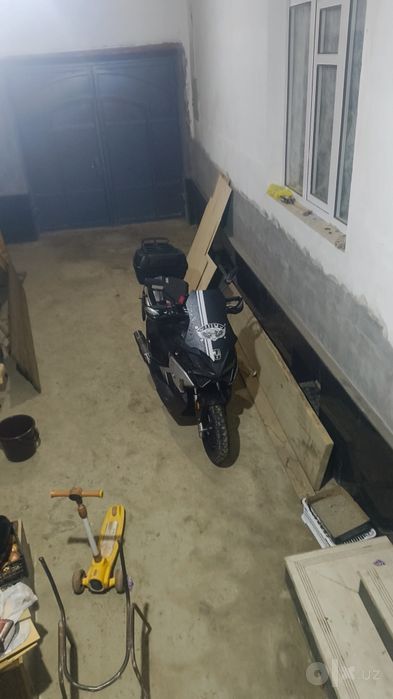 Толка нахт абнем нессс