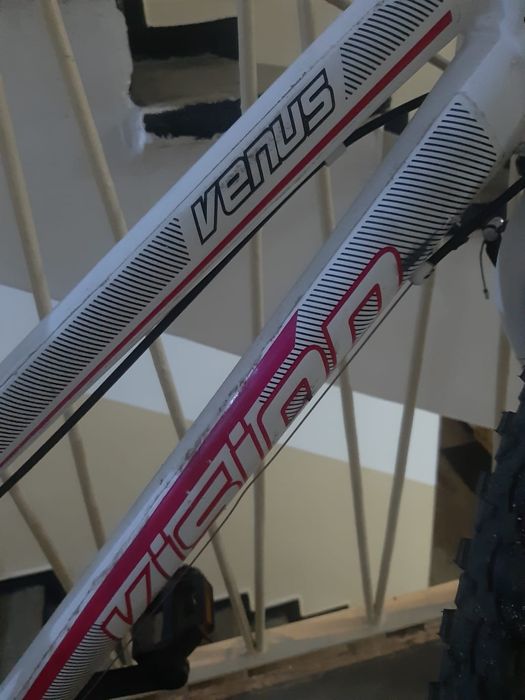 Bicicleta Venus Vision 24